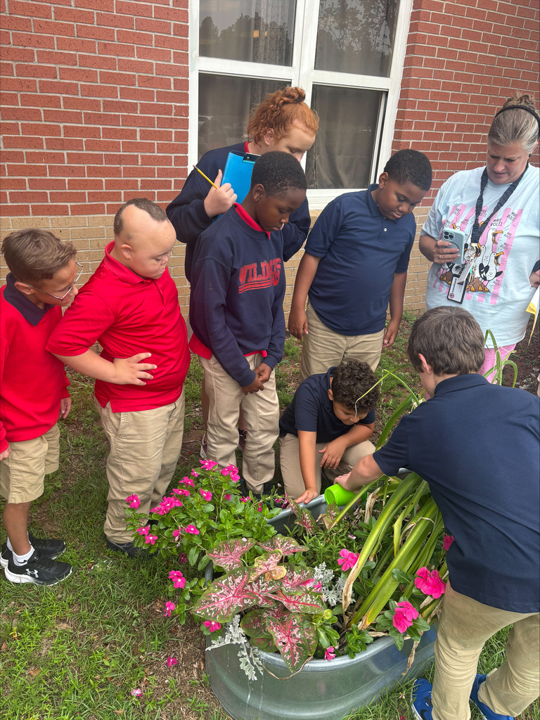 💦 Scientists at Work in Mrs. Boltz’s Class! 🔬 Today Mrs. Boltz's class experimented to see which materials absorb water the fastest! Students made predictions, tested different materials, and were so excited to see which predictions were right! They loved being scientists and learning through hands-on fun! 🧪💙