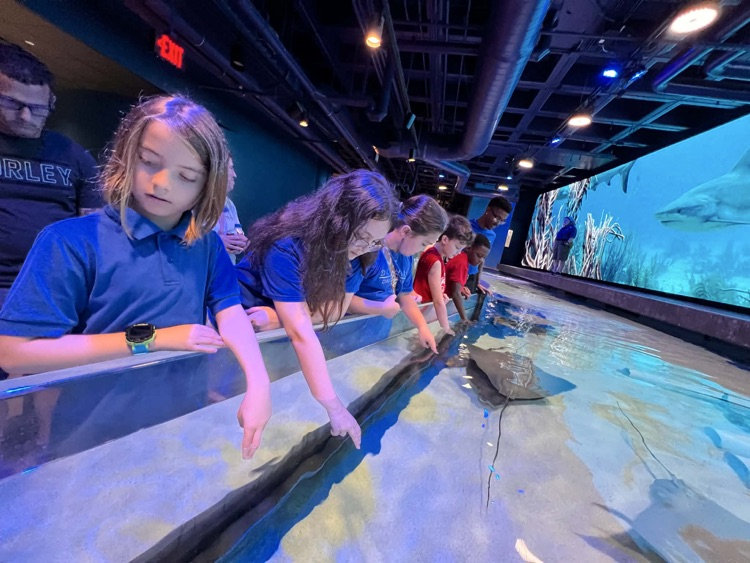 🦁🐠 PACE Field Trip Fun! 🐘🦈  Our 5th grade PACE students had an amazing day exploring the Audubon Zoo & Aquarium in New Orleans! Learning, adventure, and lots of memories made! 💙🌎✨