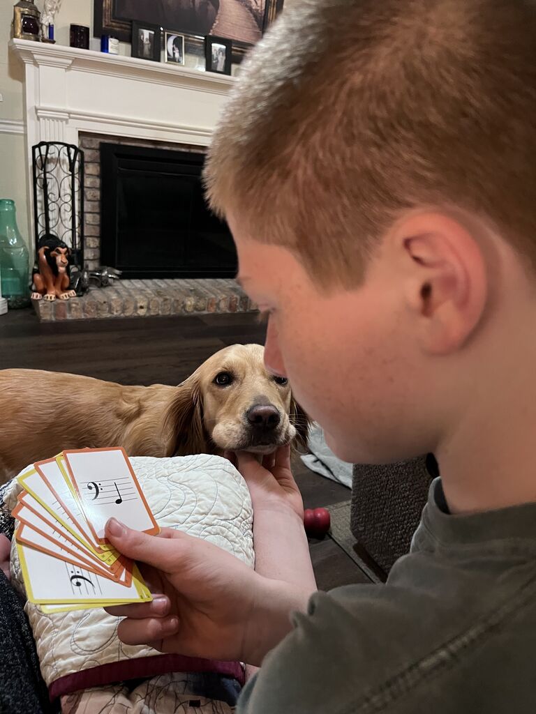 Student studying with flashcards