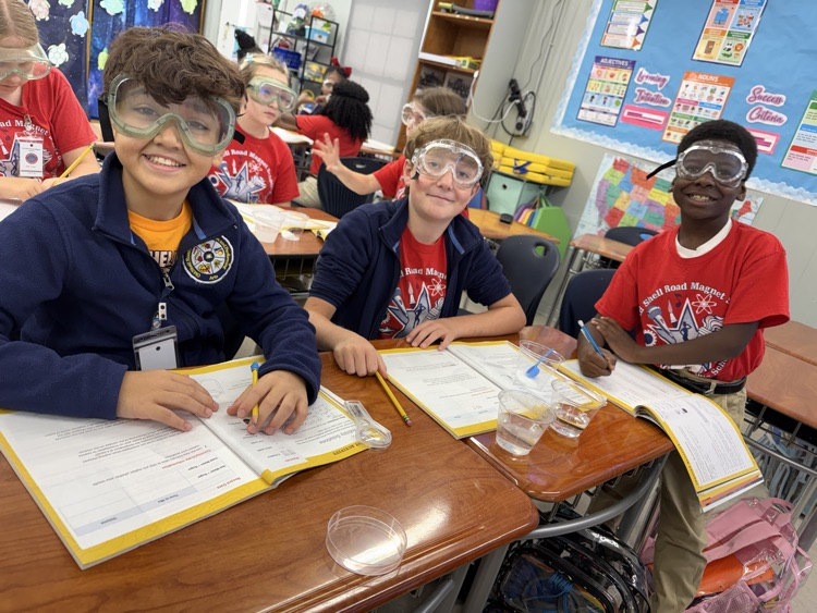 Fun in 5th Grade Science 
