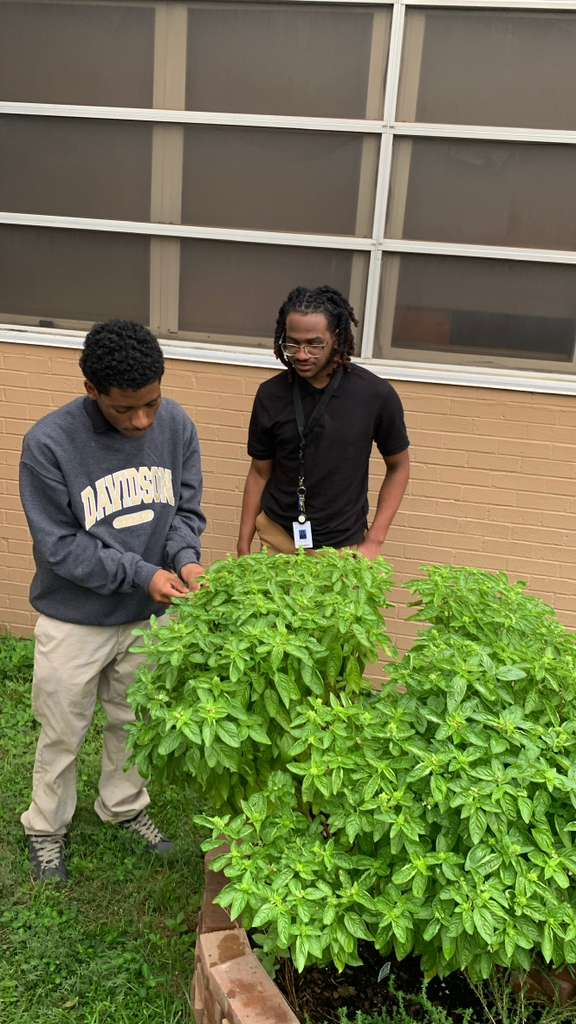 Students visited the herb garden maintained by our Garden Club and Dr. Moody, gathering fresh herbs to use in their recipes and experiencing firsthand the farm-to-table connection.