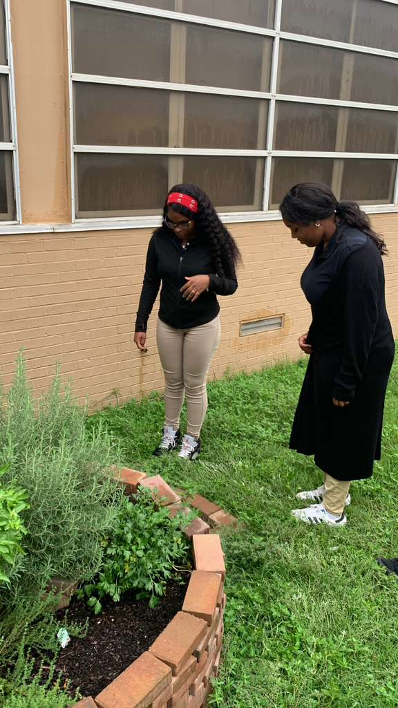 Students visited the herb garden maintained by our Garden Club and Dr. Moody, gathering fresh herbs to use in their recipes and experiencing firsthand the farm-to-table connection.