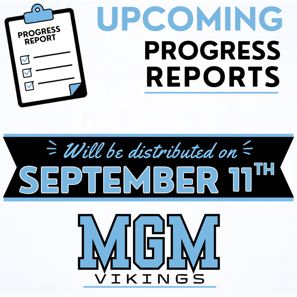progress report
