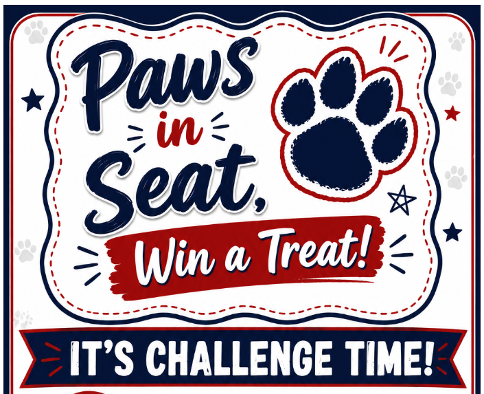 Paws visual