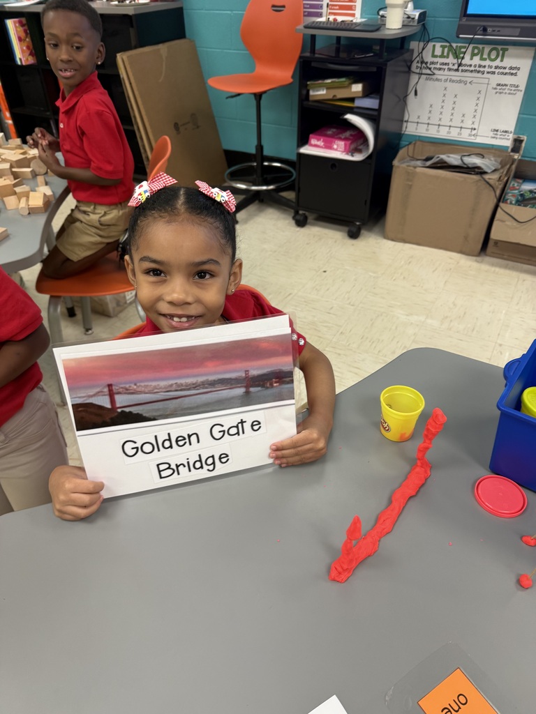 STEM with Mrs. Knowles