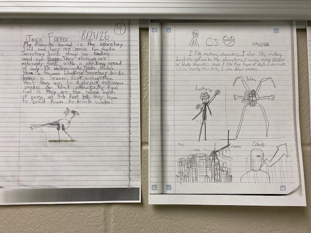 Two sheets of paper, each with drawings and text, hang on a wall. The left paper shows a bird and handwritten text. The right paper shows a human figure, a spider, and a building with handwritten text.
