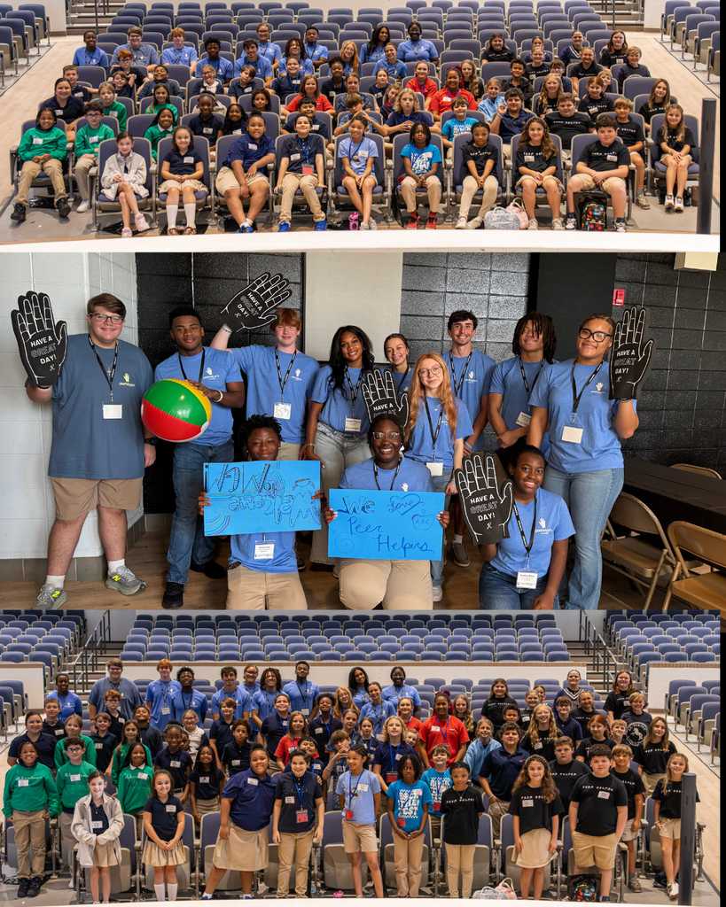 peer helpers