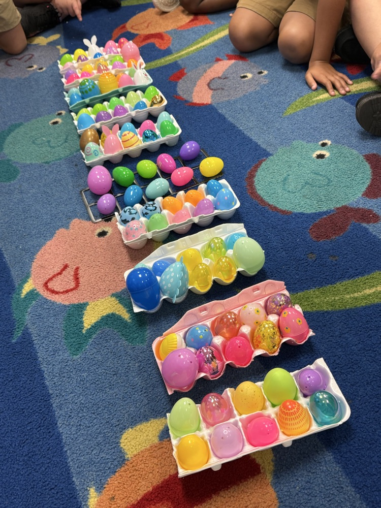 egg cartons filled with eggs