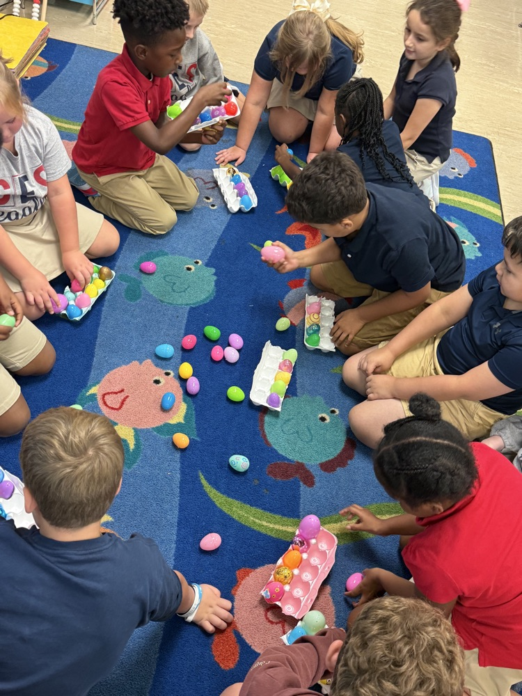 students counting eggs and placing in egg cartons