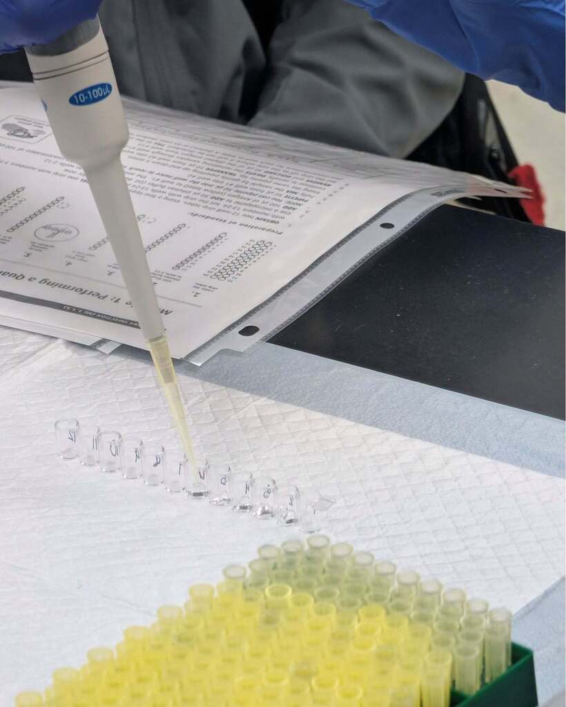 Students investigated a simulated infectious disease outbreak, using contact tracing, bioinformatics, and molecular laboratory techniques to track the spread of the illness, identify the pathogen, and determine the outbreak’s “patient zero.”