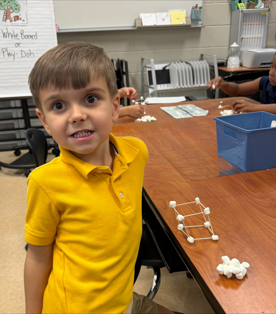 A young boy in a yellow shirt smiles at the camera. Behind him, a wooden table has a structure made of marshmallows and sticks.