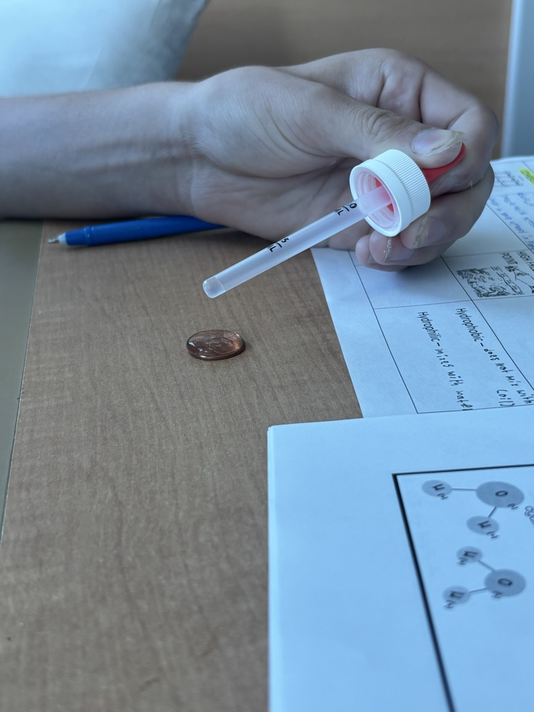 experiment with water and a penny