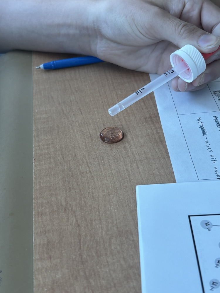 experiment with water and a penny