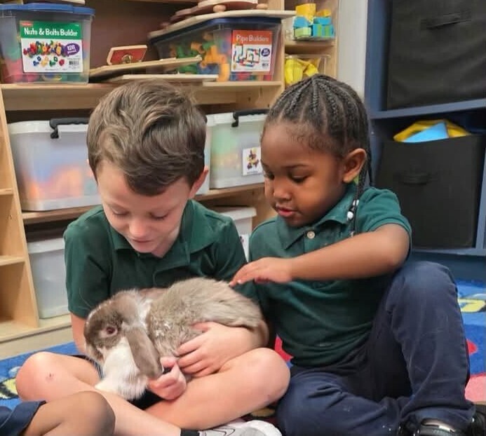 A boy holds a bunny in his lap while a girl reaches to pet it