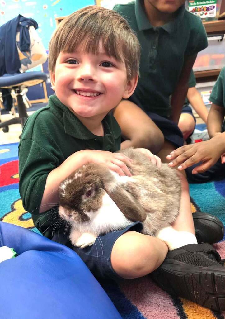 A boy holding a bunny