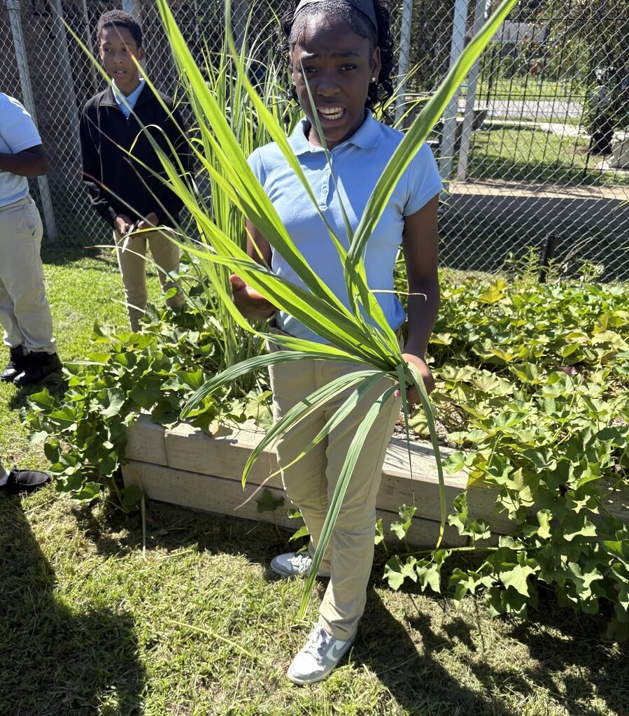 A girl holding lemongrass