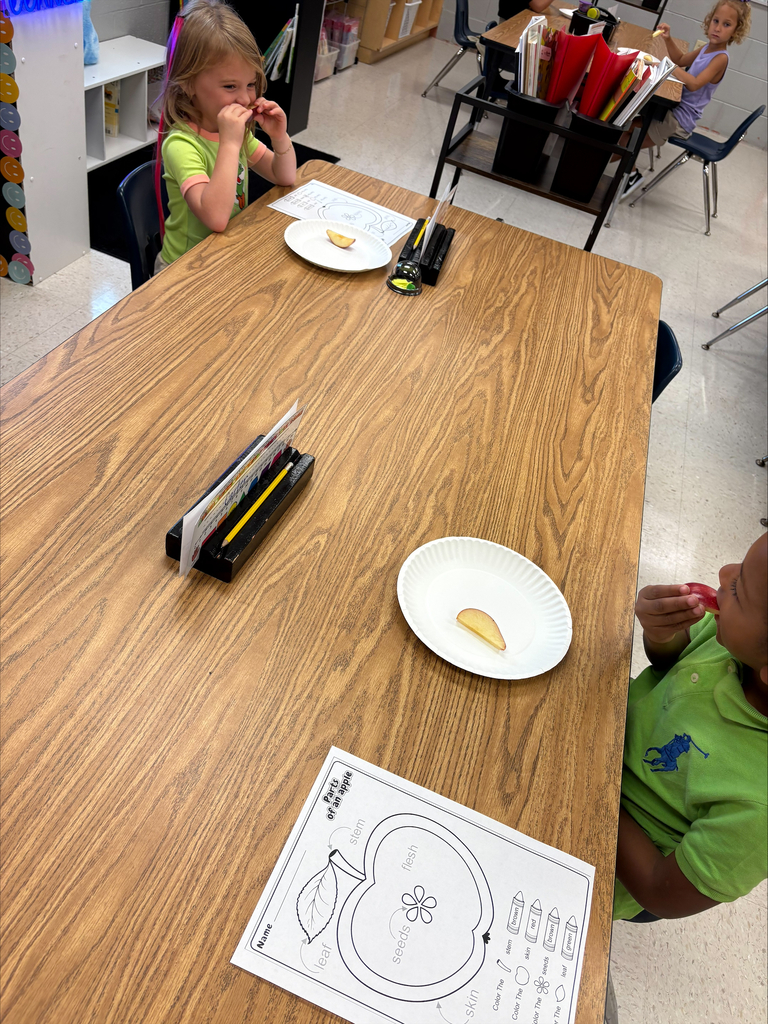 🍎 Apple Learning Fun! 🍏 Our kindergartners had so much fun learning about the parts of an apple! We explored the skin, flesh, core, seeds, and stem while getting some hands-on learning in. 🍎❤️ Nothing beats learning when we can see, touch, and explore it ourselves! 📚✨