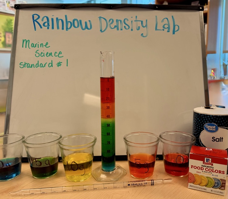 experiment with salt water and food coloring