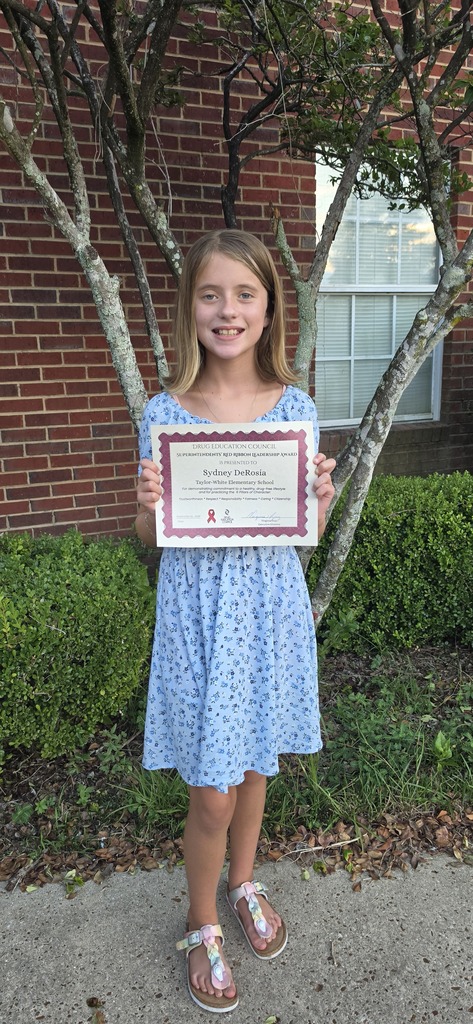 A girl in a blue dress holds a certificate and smiles in front of a brick building.