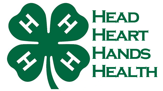 4h
