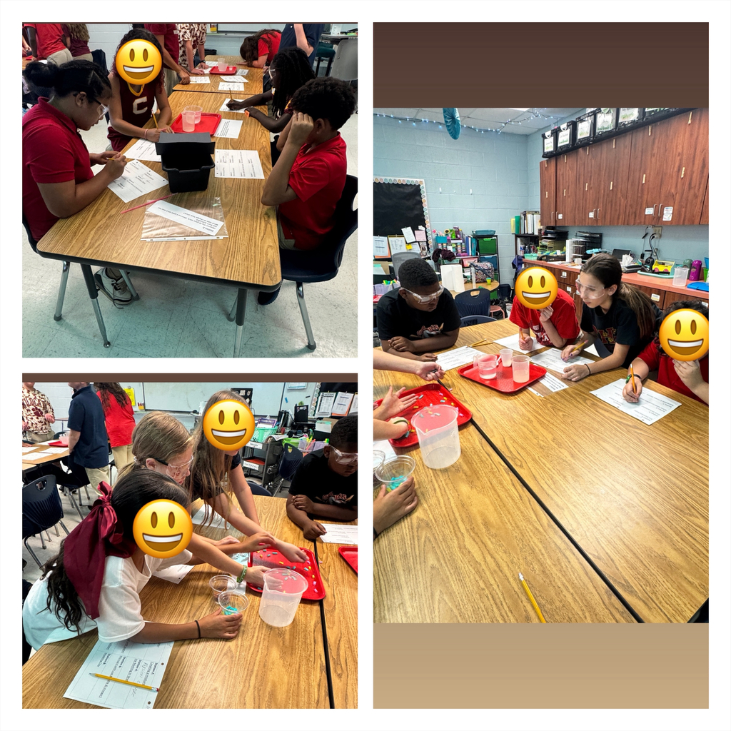 Ms. Lowe's science classes participated in a Chemical and Physical Changes experiment day! Students worked in groups and rotated around the room to 8 stations determining if what they were seeing and doing was a physical change of matter or a chemical change!