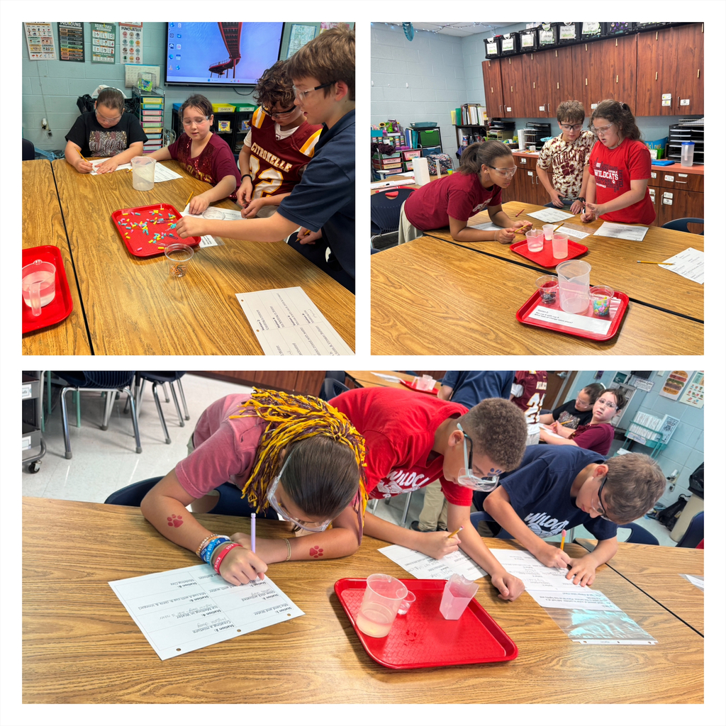 Ms. Lowe's science classes participated in a Chemical and Physical Changes experiment day! Students worked in groups and rotated around the room to 8 stations determining if what they were seeing and doing was a physical change of matter or a chemical change!