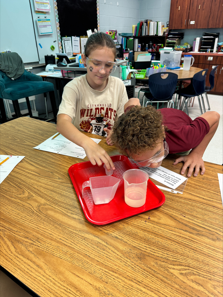 Ms. Lowe's science classes participated in a Chemical and Physical Changes experiment day! Students worked in groups and rotated around the room to 8 stations determining if what they were seeing and doing was a physical change of matter or a chemical change!
