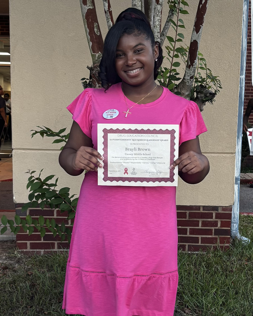 A young girl in a pink dress holds a certificate with a red ribbon. Behind her, a brick wall and a tree.