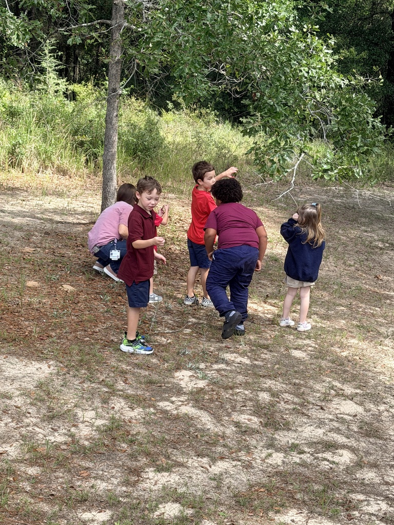 🍂 Learning Outside the Classroom 🍎 We have been busy learning all about seasons, weather, and the different things we can find outside! Today, we took our learning beyond the classroom and enjoyed a little class field trip to our outdoor classroom. Our students explored nature and used what they found to create their very own nature hats while enjoying this beautiful fall weather! 🍁🌿 We ended our school day with a special Johnny Appleseed Day snack and a fun apple craft! 🍎 There’s nothing better than hands-on learning, fresh air, and making sweet memories together! We had such a fun fall day with our students! 🤎🍂