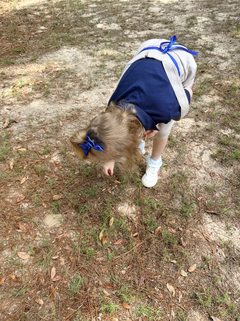 🍂 Learning Outside the Classroom 🍎 We have been busy learning all about seasons, weather, and the different things we can find outside! Today, we took our learning beyond the classroom and enjoyed a little class field trip to our outdoor classroom. Our students explored nature and used what they found to create their very own nature hats while enjoying this beautiful fall weather! 🍁🌿 We ended our school day with a special Johnny Appleseed Day snack and a fun apple craft! 🍎 There’s nothing better than hands-on learning, fresh air, and making sweet memories together! We had such a fun fall day with our students! 🤎🍂