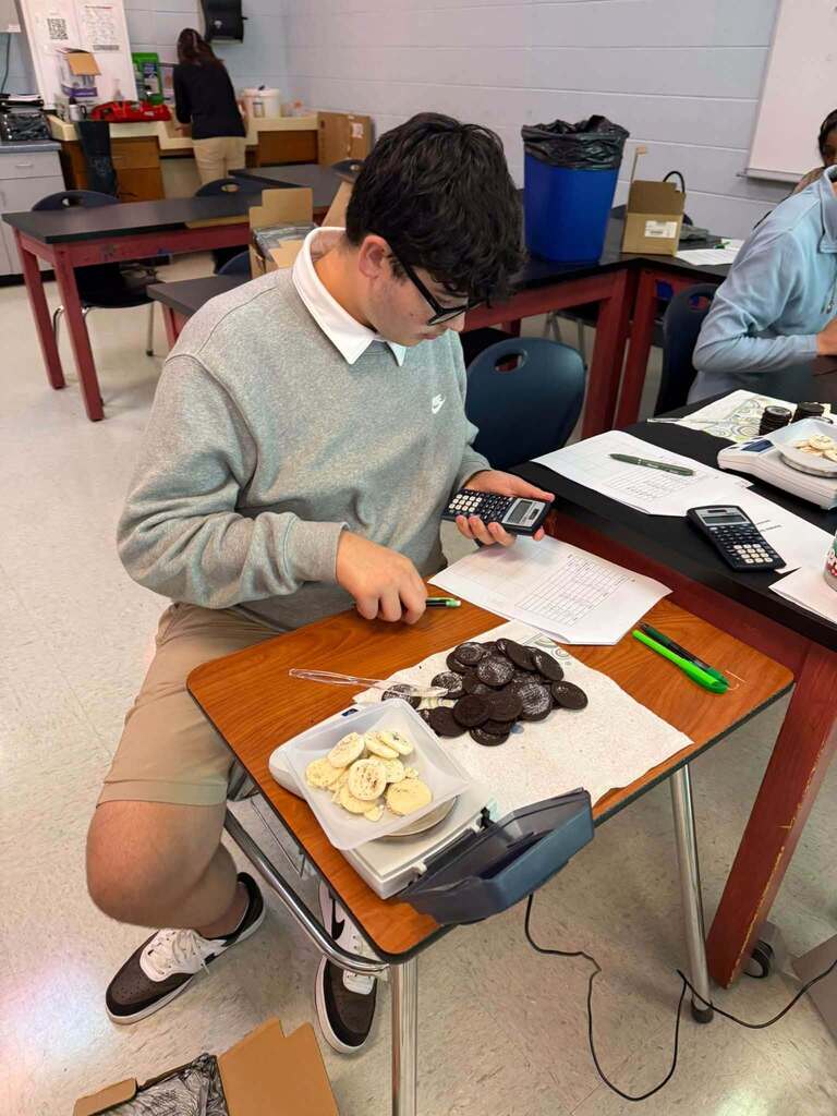 Student in glasses and a sweater, sitting at a desk, using a calculator and surrounded by cookies.