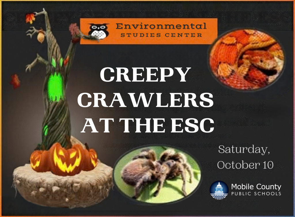 A graphic with pictures of a spider and a snake, with the words "Creepy Crawlers at the ESC"