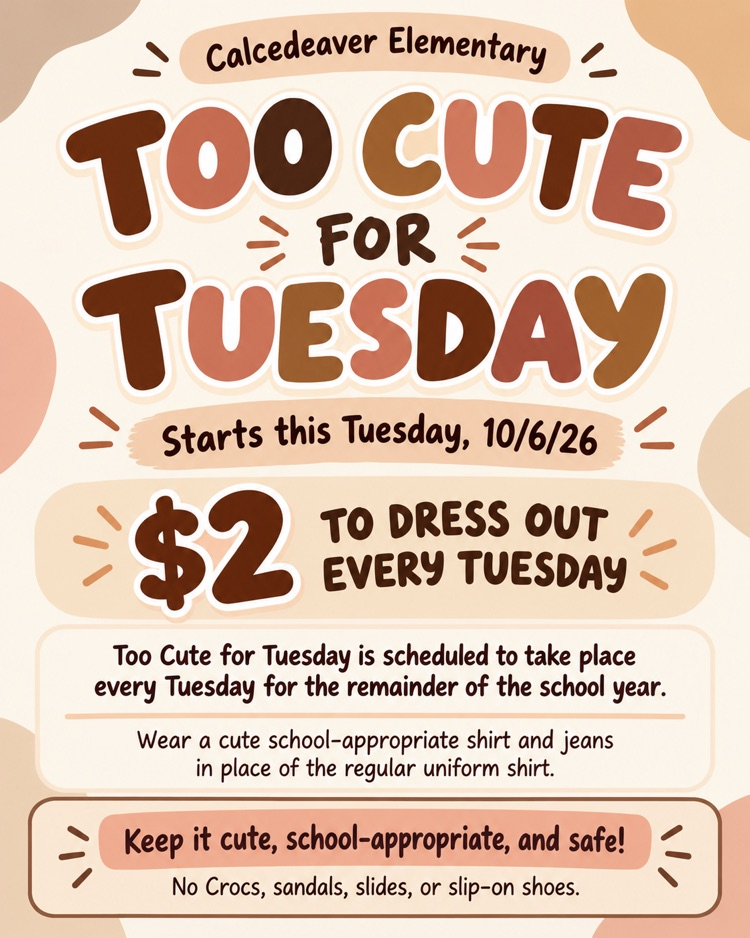 too cute for Tuesday flyer 