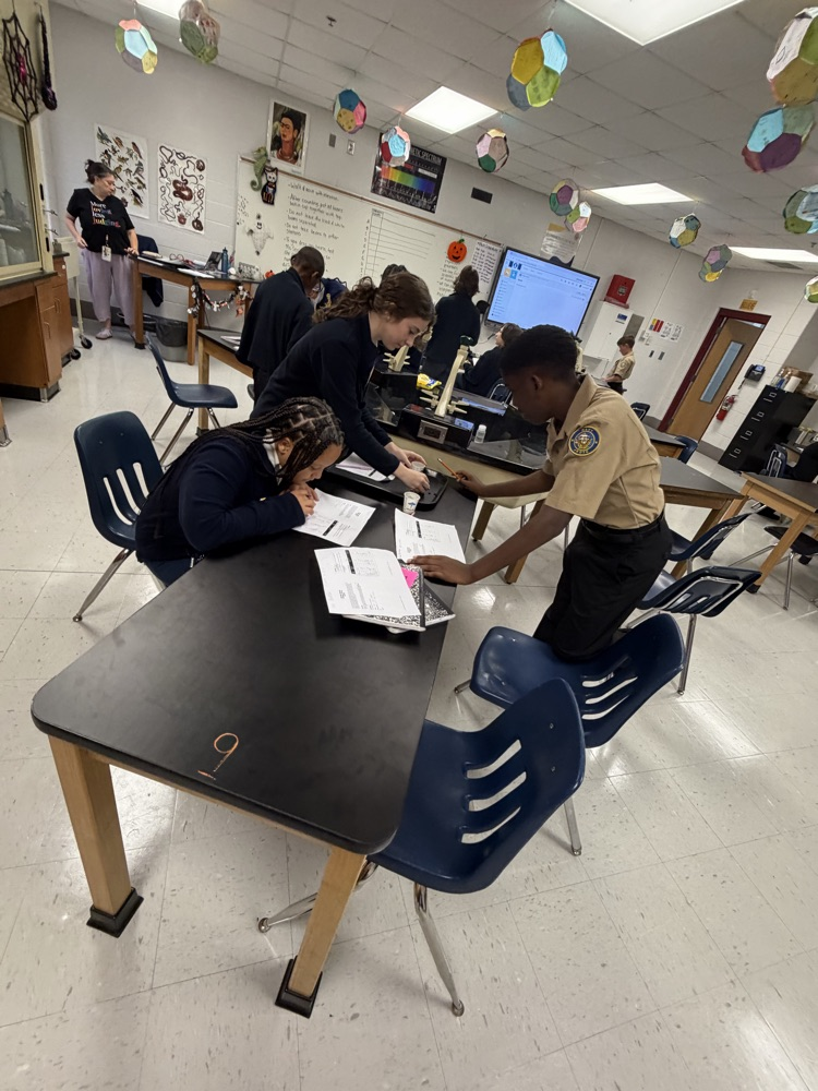 Students working on a lab in Science.