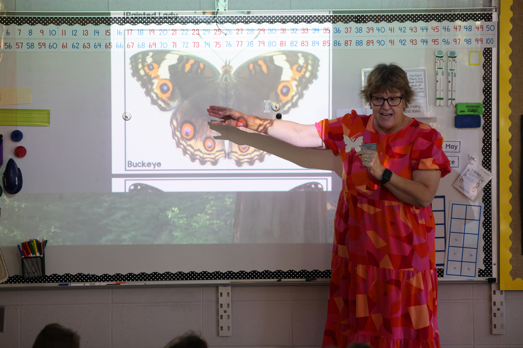 May Butterflies