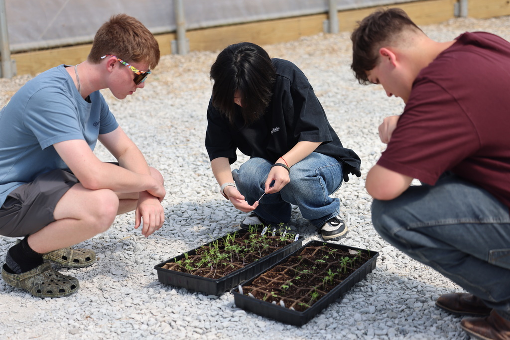 students planting seeds