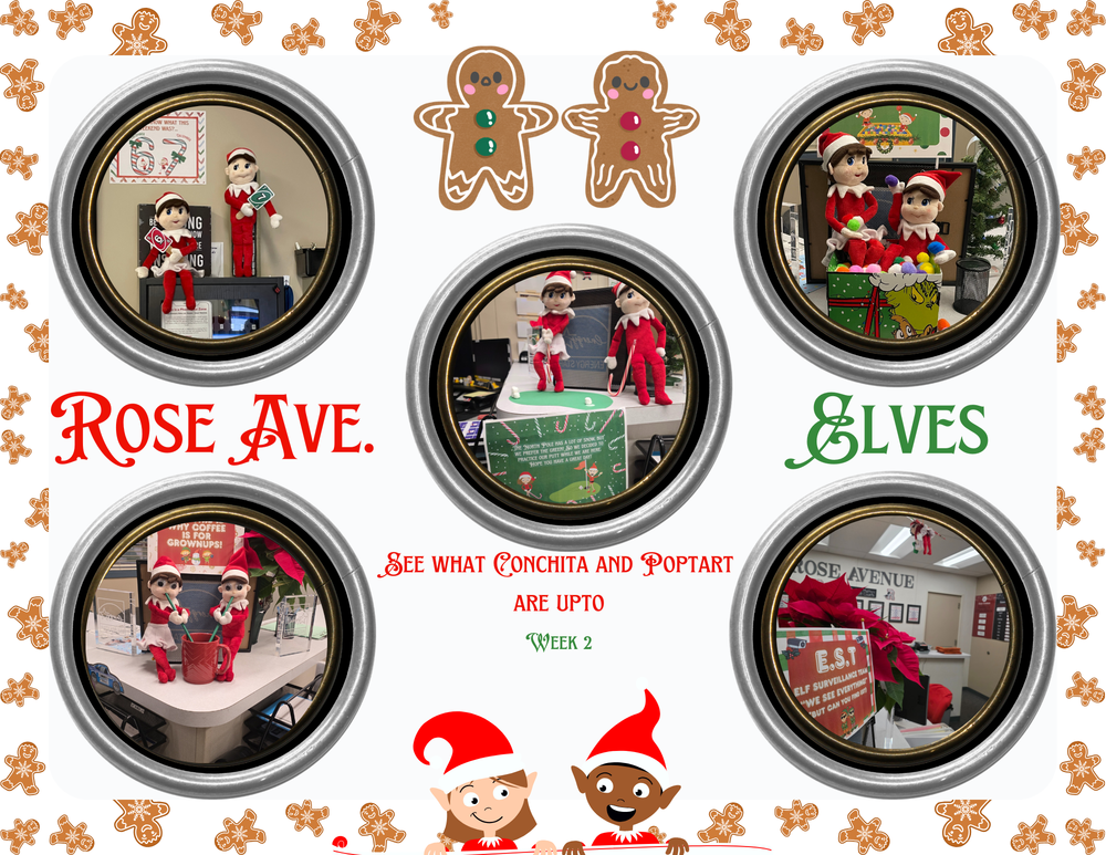 Rose Ave. Elf fun Week 2