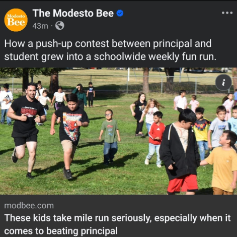 MODESTO BEE