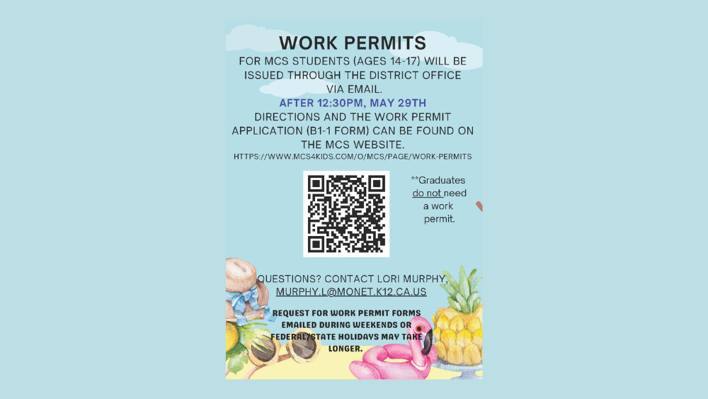 work permit