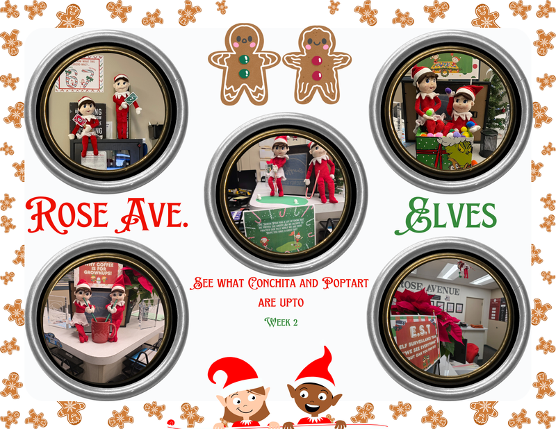 Rose Ave. Elf fun. See what Conchita and Poptart are upto week 2