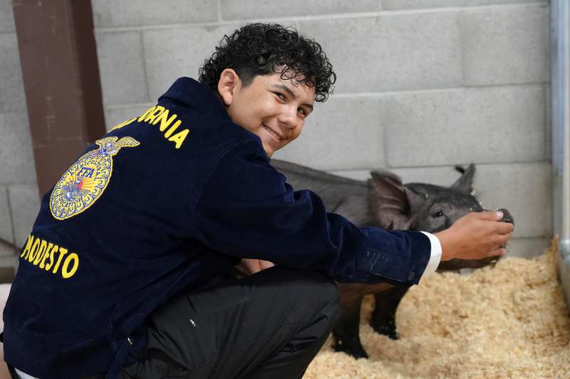 Modesto High student with sow