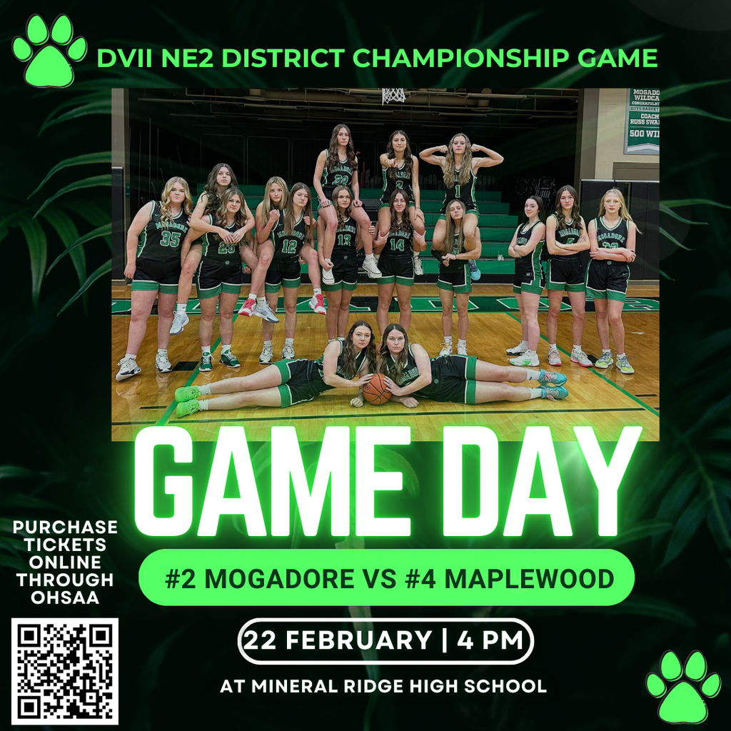 Girls basketball flyer