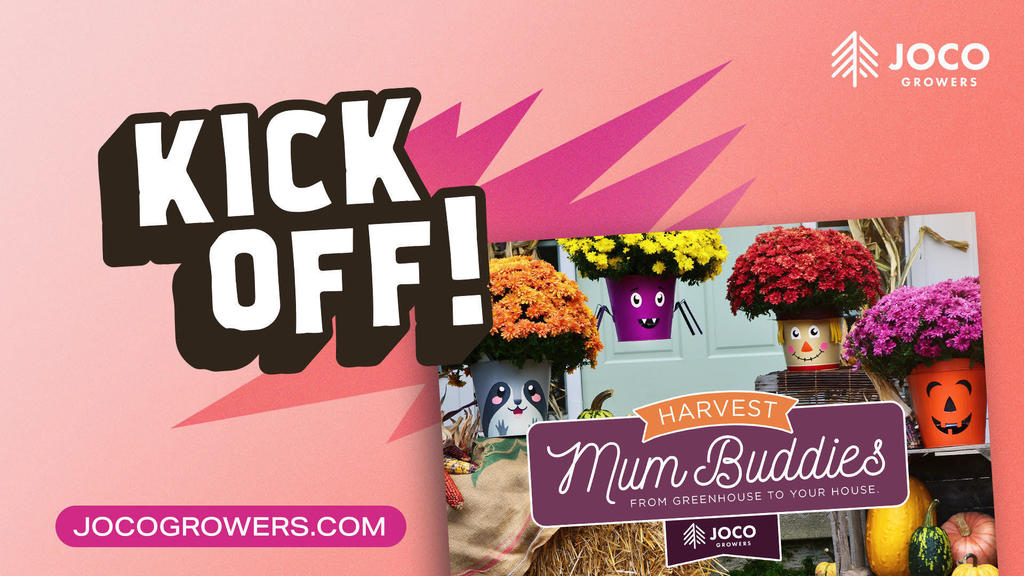 Kick Off: Jocogrowers