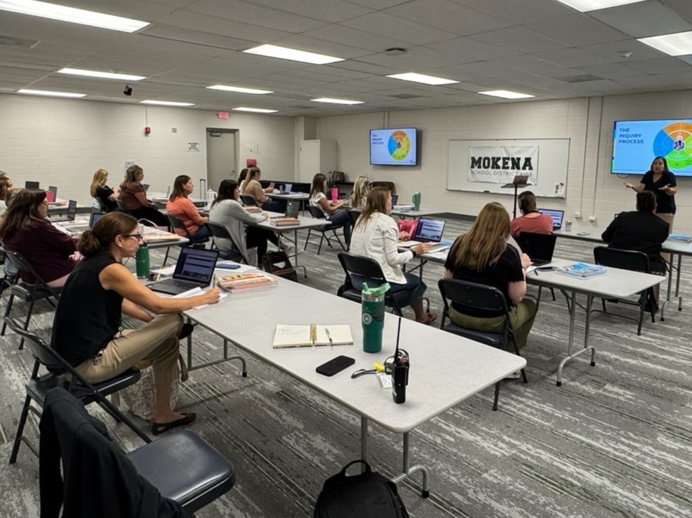 teachers in professional development