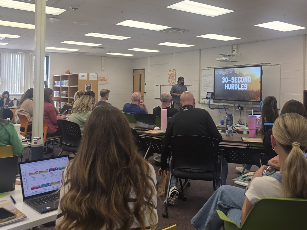 teachers in professional development