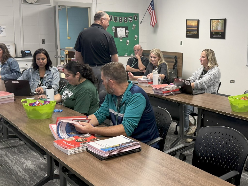 teachers in professional development