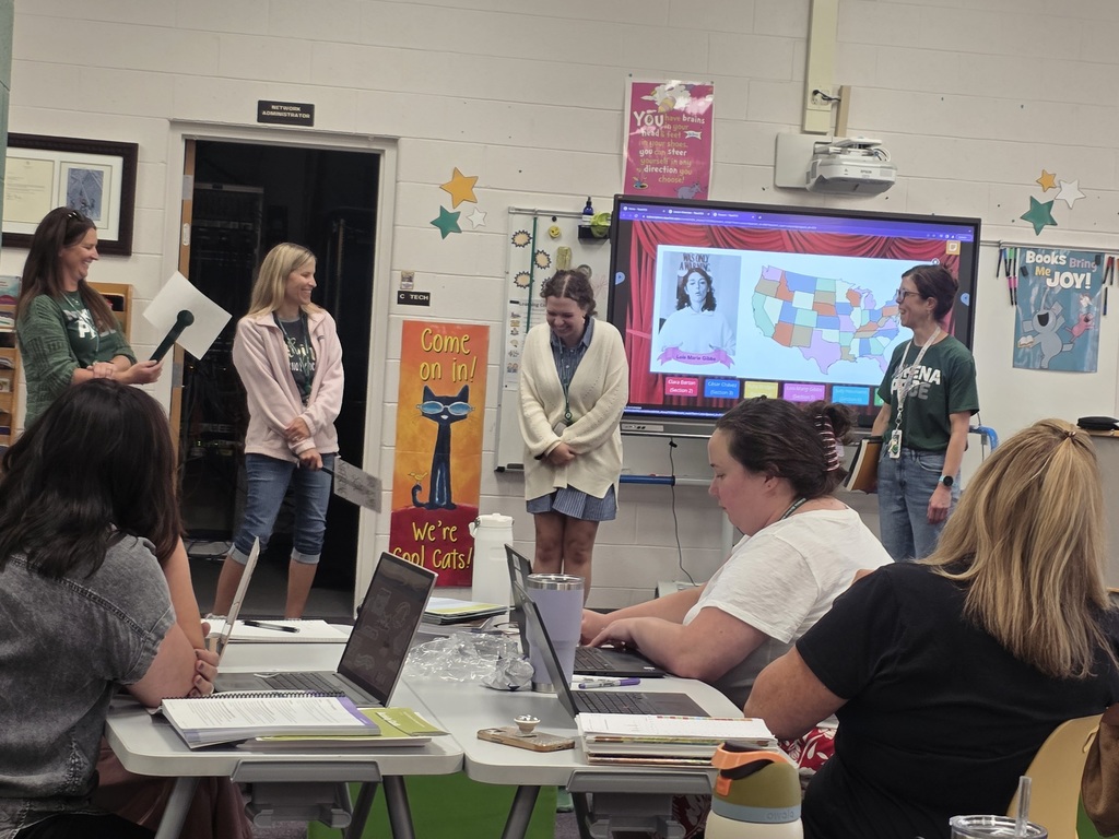 teachers in professional development