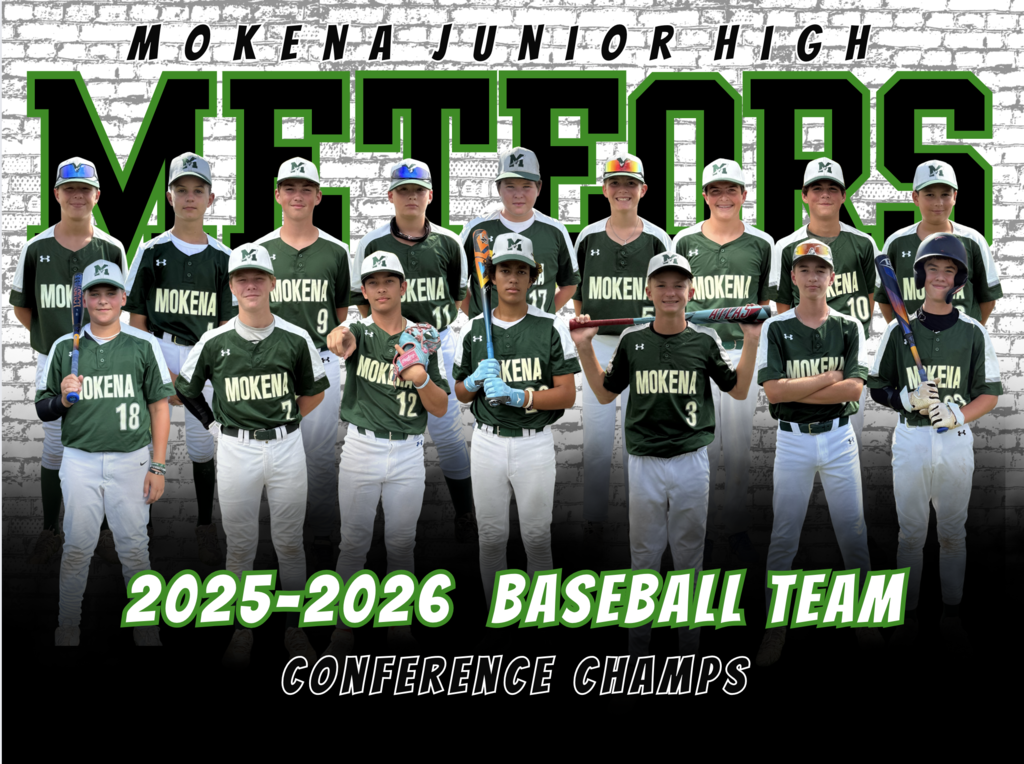 baseball team picture