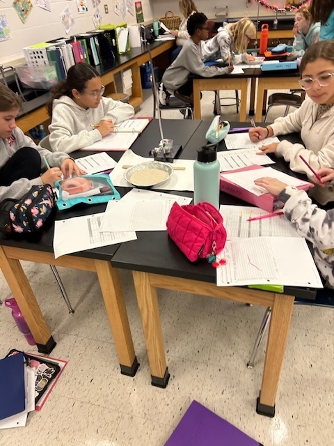 6th grade scientists