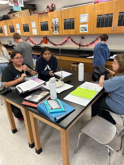 6th grade scientists
